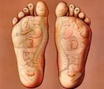 reflexology icon