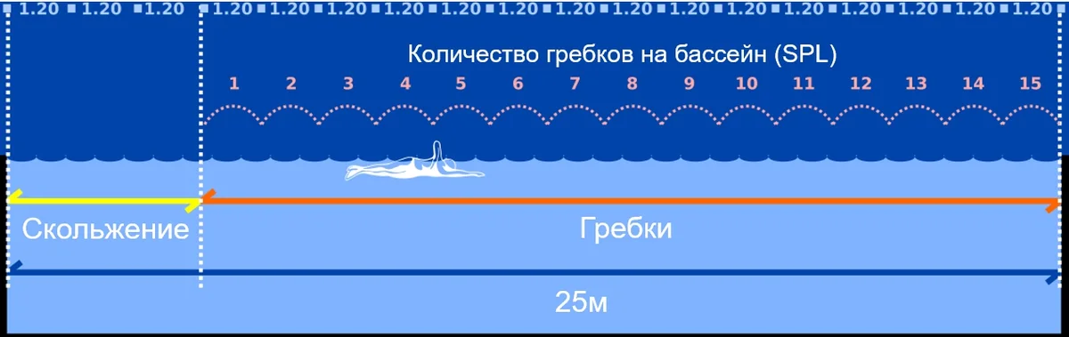 Формула расчёта времени преодоления дистанции в плавании