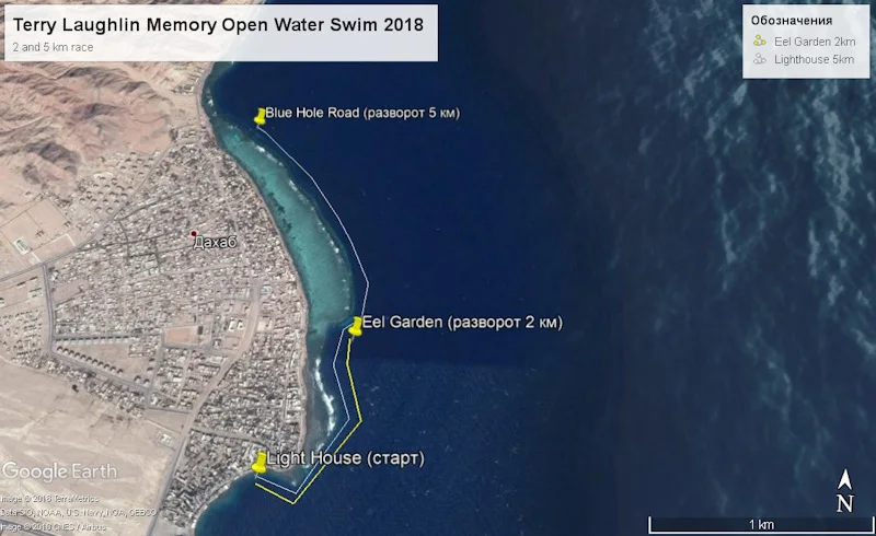 Terry Laughlin Memory Open Water Swim 2018 800pix