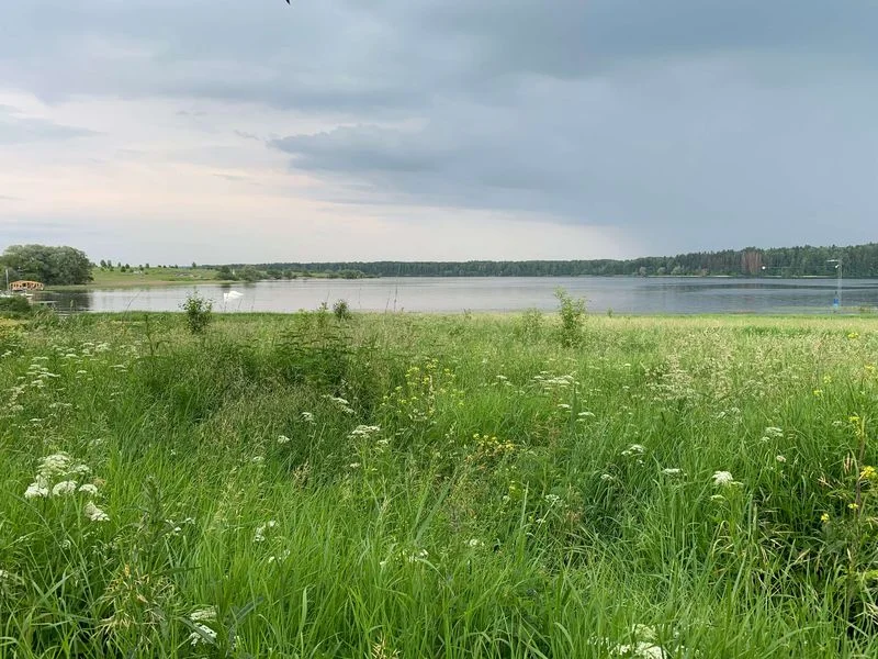 Тренировка пловцов на открытой воде в сопровождении на каяке