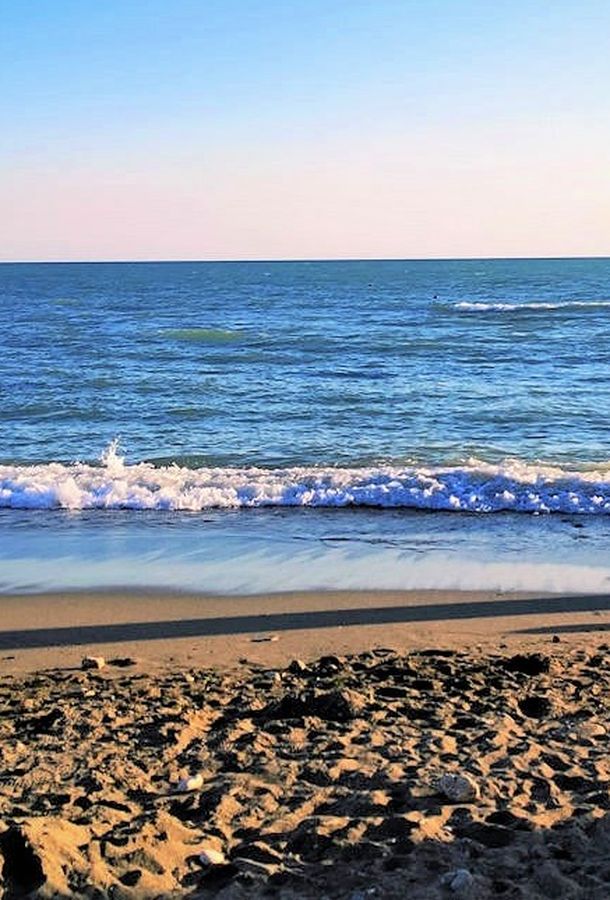Курс по плаванию на открытой воде