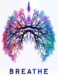 lungs