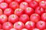 apples