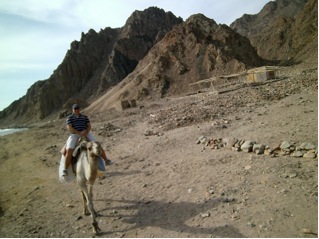 abu galum