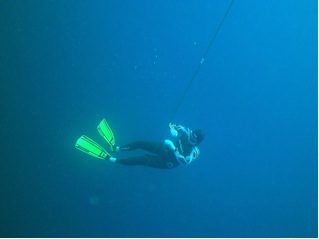 fins