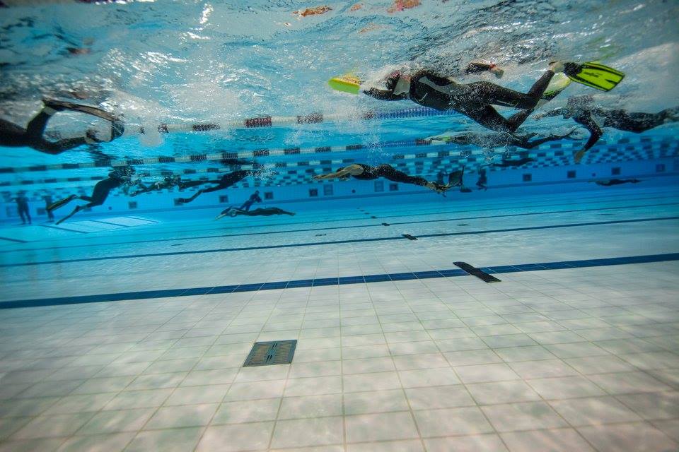 13533253_10153767957087055_8052481884826477553_n