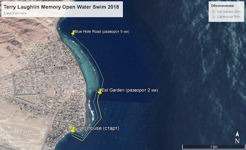 Terry Laughlin Memory Open Water Swim 2018 800pix