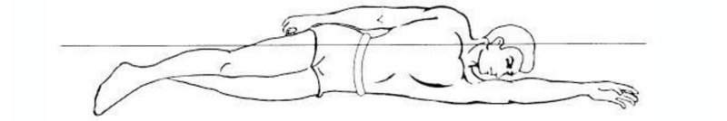 Иллюстрация из книги Терри Лафлина "Полное погружение". Правильное положение передней руки в кроле