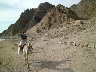 abu galum