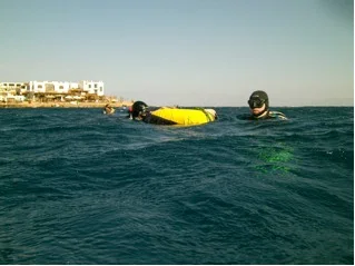 freedivers